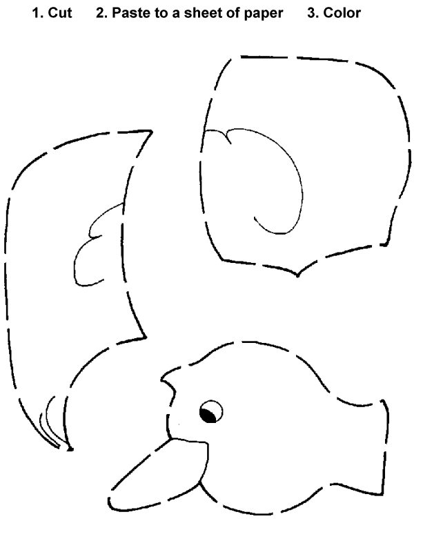11 Best Images of Printable Bird Cut And Paste Worksheets
