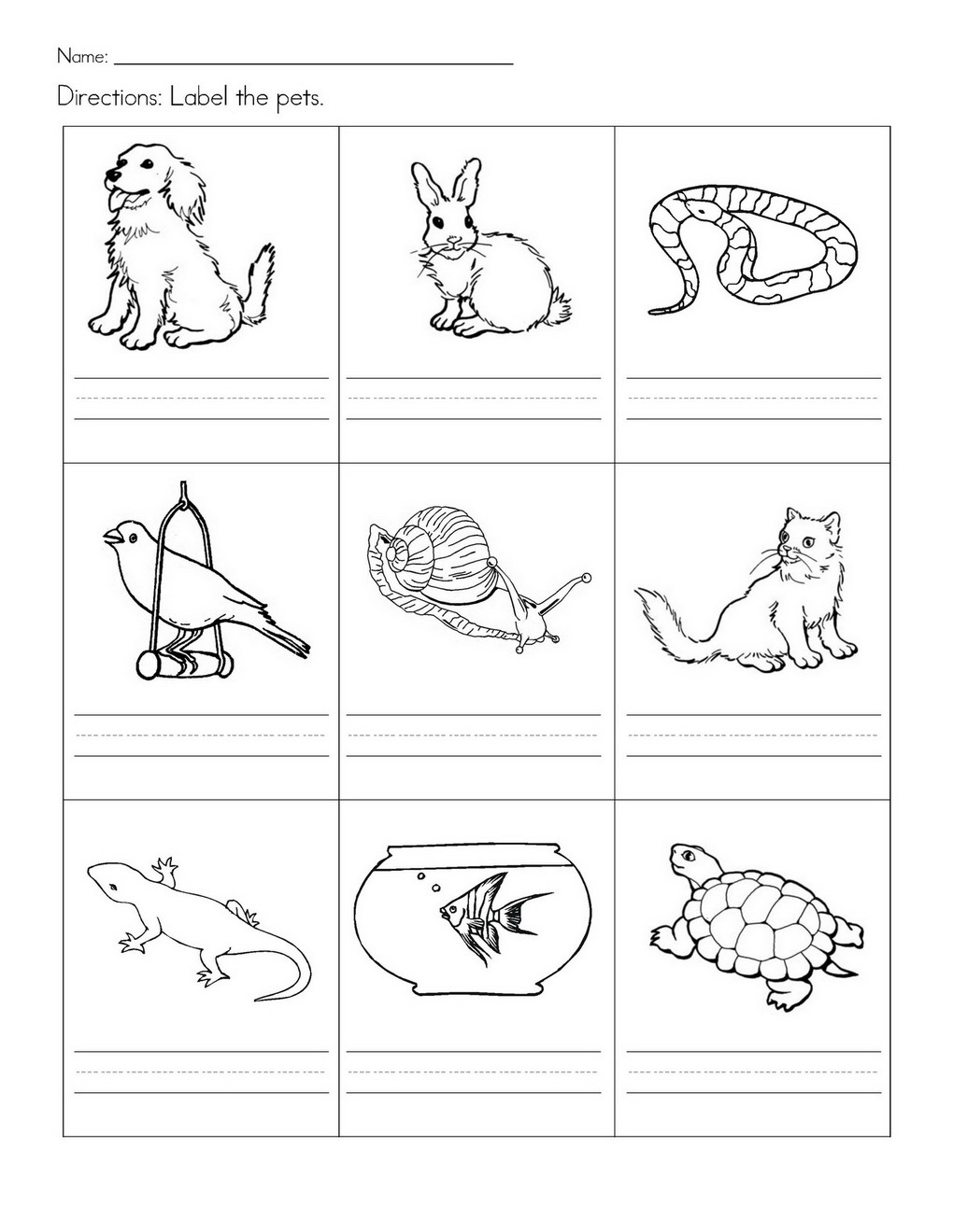 15 Best Images of Worksheets About Pets - Kenneth Cole, English House