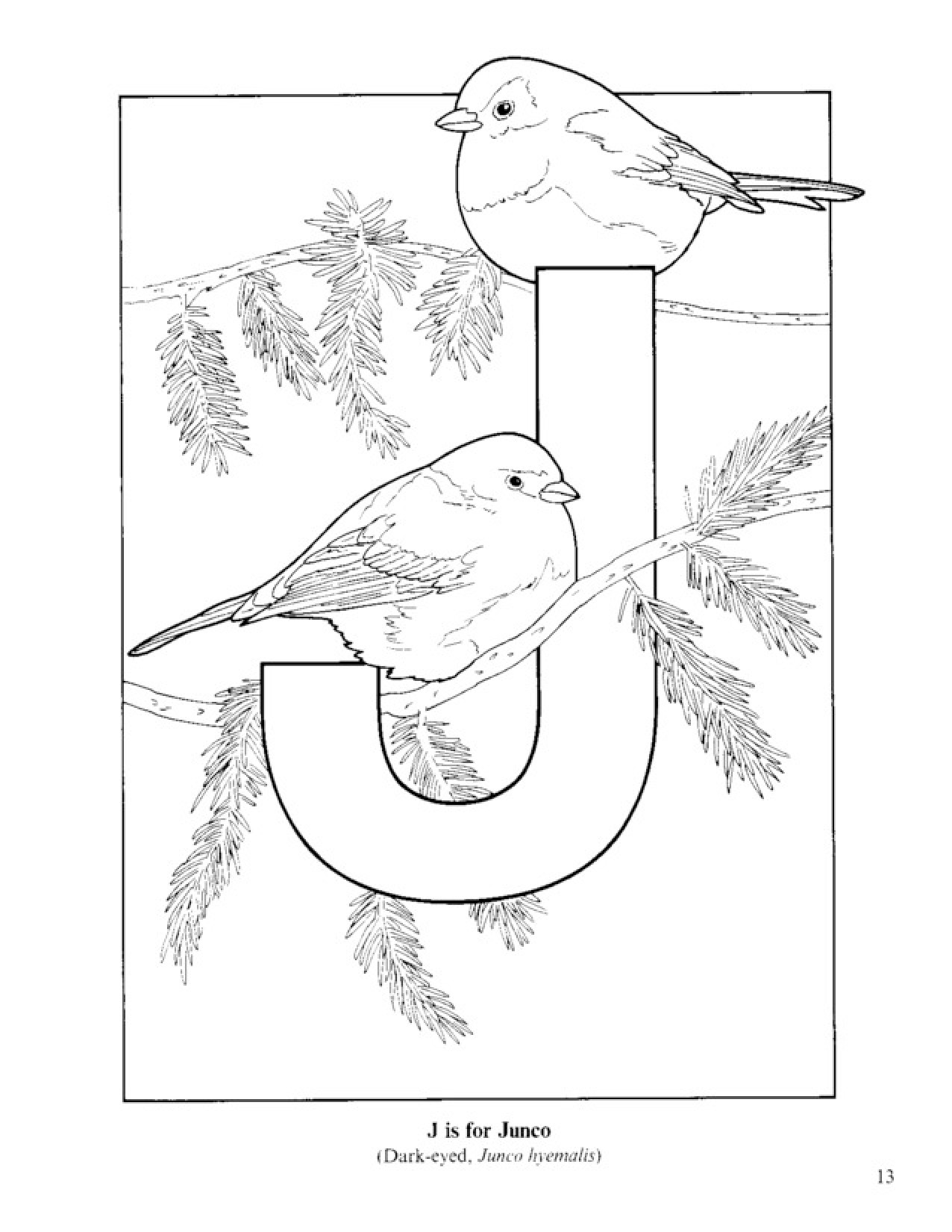 17 Best Images of Qu Phonics Worksheets  Jolly Phonics Printable
