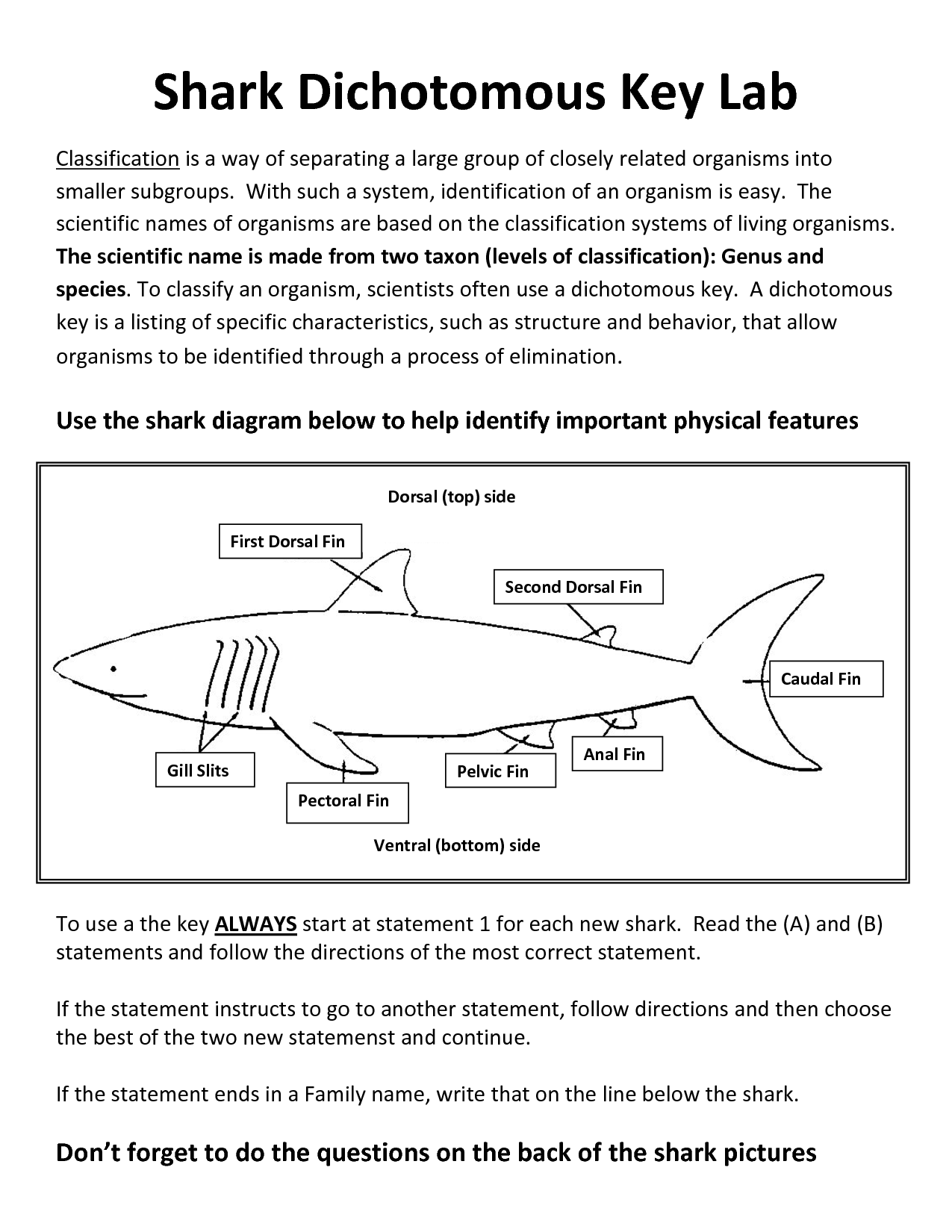 Fish Dichotomous Key Worksheets