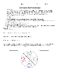 The Cell Cycle and Cancer Virtual Lab Worksheet Answers