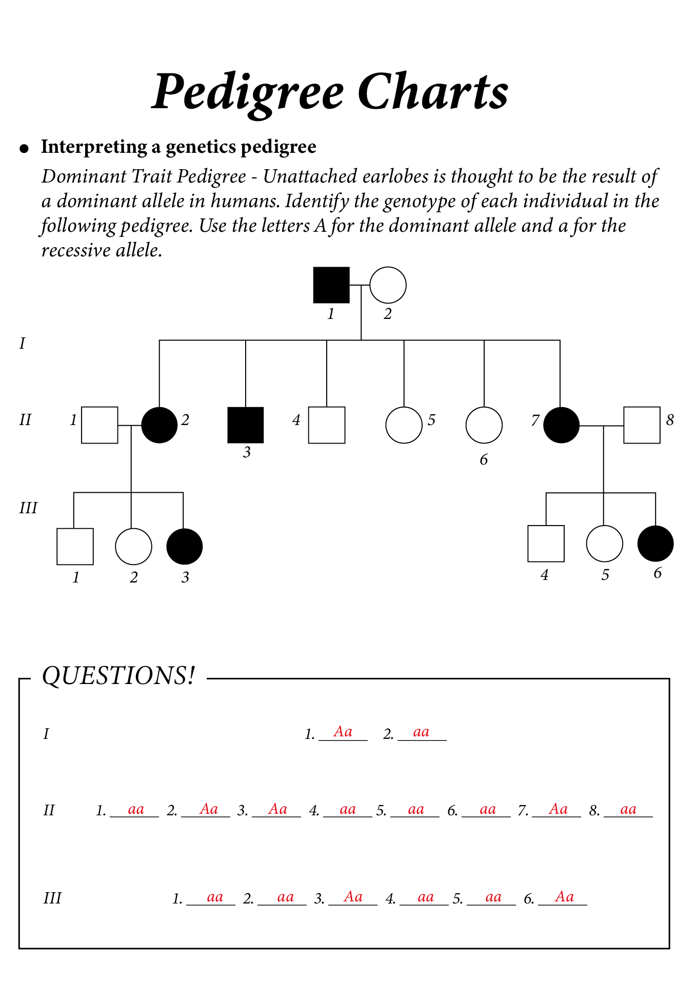 Pedigree Practice Worksheet Key