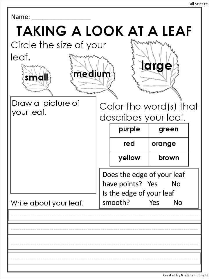 10 Best Images of Fall Leaves Worksheets Pile of Fall