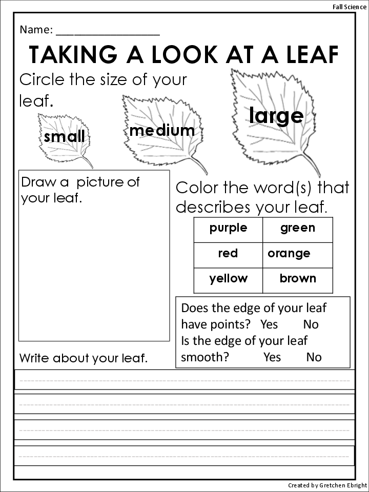 10 Best Images of Fall Leaves Worksheets - Pile of Fall Leaves Coloring