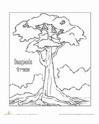 Great Kapok Tree Coloring Pages
