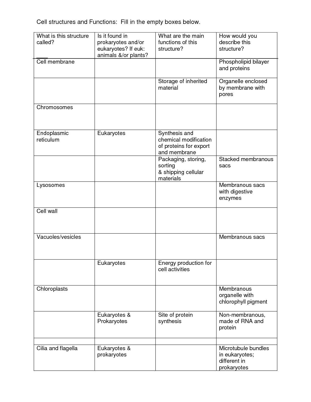 13-best-images-of-plant-structure-and-function-worksheet-plant-cell-structure-and-function