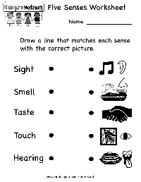 Printable Five Senses Worksheet Kindergarten