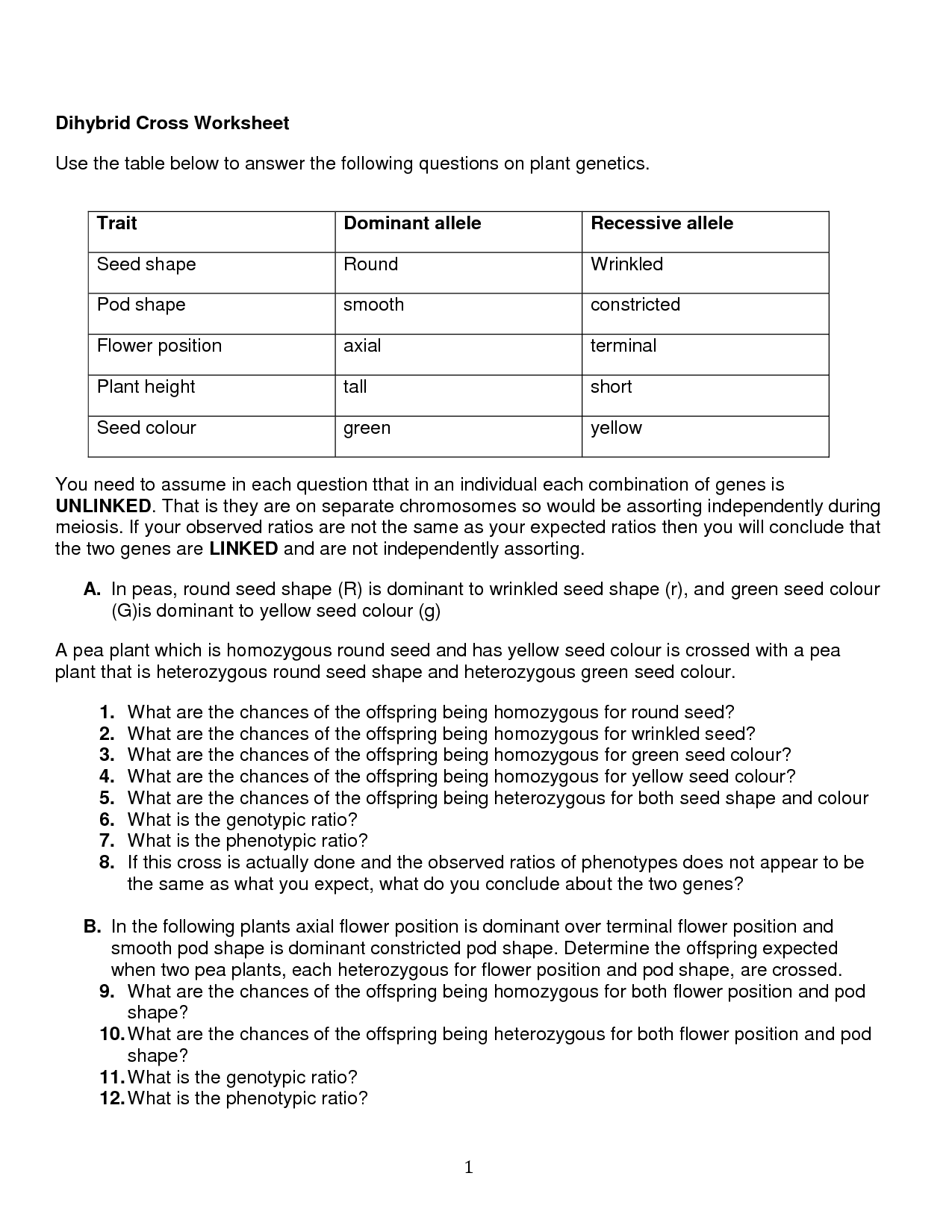 19-best-images-of-dihybrid-worksheet-with-answer-key-dihybrid-cross-worksheet-answer-key