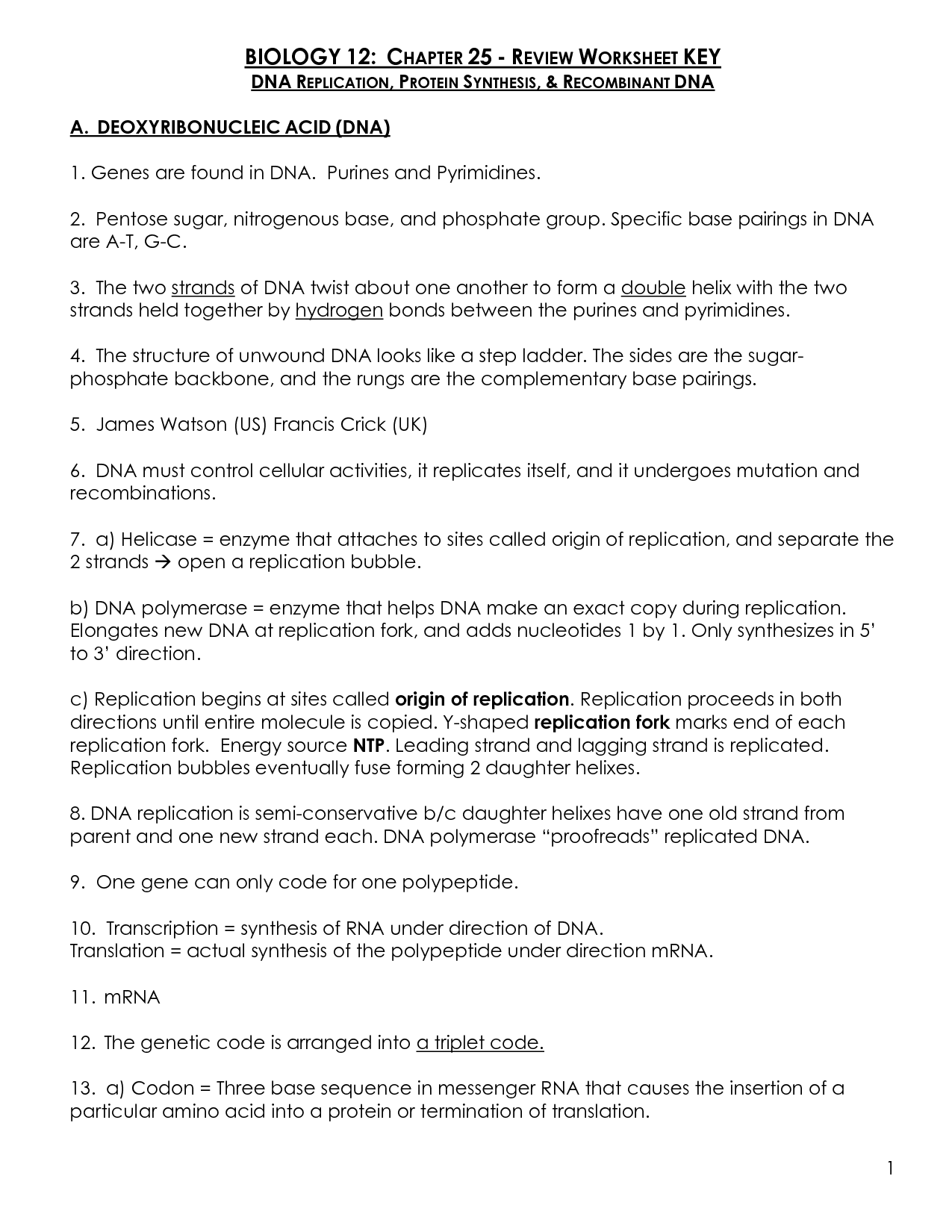 Dna Replication Worksheet Key