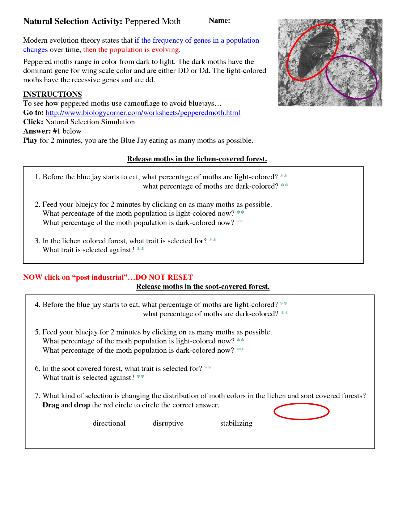 12 Best Images of Darwins Natural Selection Worksheet Key  Evolution by Natural Selection 