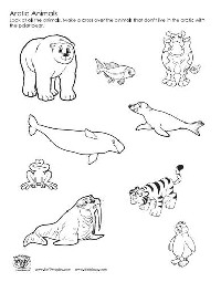 Arctic Tundra Animals Coloring Pages