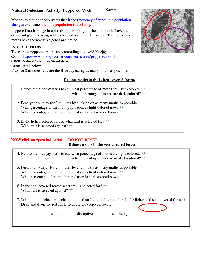 Evolution by Natural Selection Worksheet Answers