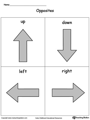 9 Best Images of Thick And Thin Worksheets For Kindergarten - Thick and