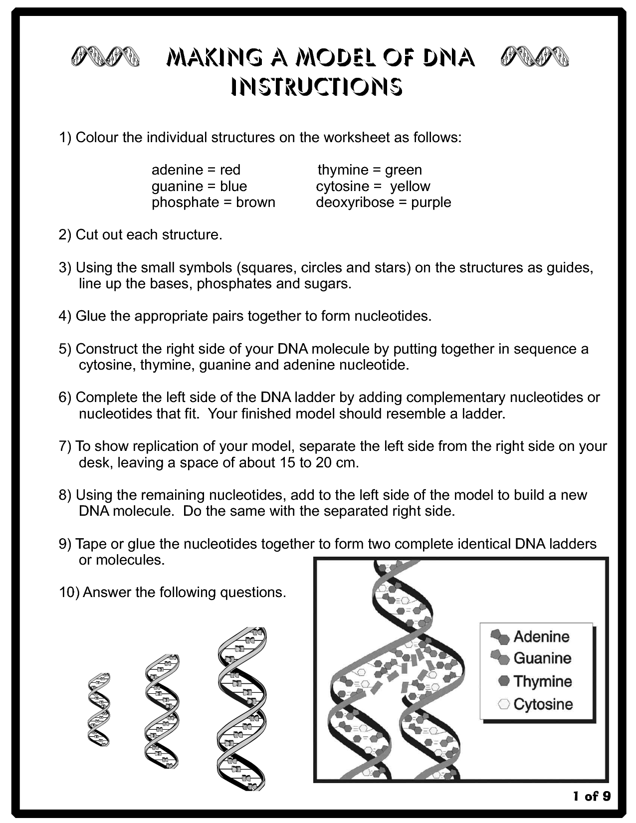 16-best-images-of-business-structures-worksheet-dna-model-worksheet-analyzing-poetry