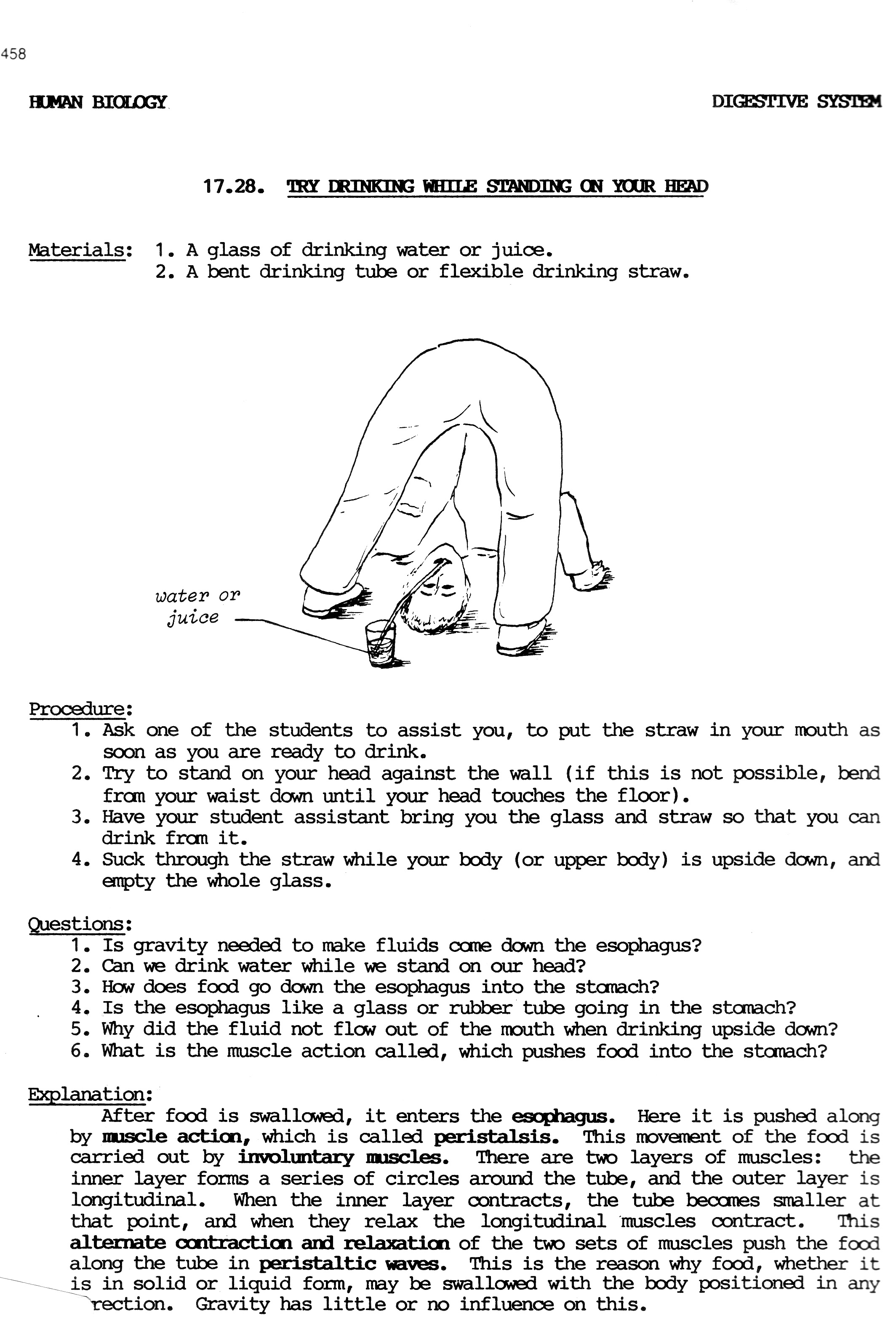 Evidence For Evolution Worksheet