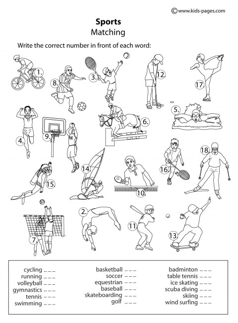 11 Best Images of Sports Activity Worksheets - Easy Sports Crossword
