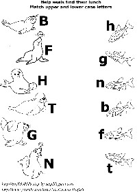 Arctic Animals Activities and Worksheets