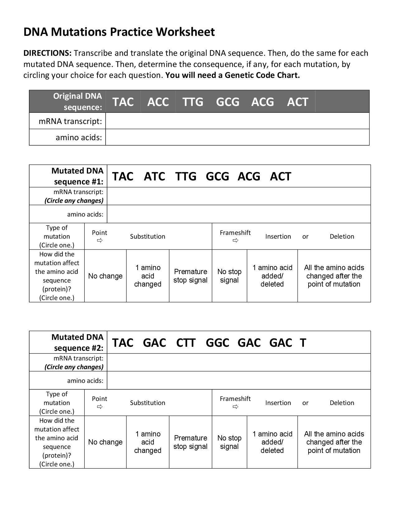 Dna Mutations Practice Worksheet Answer Key