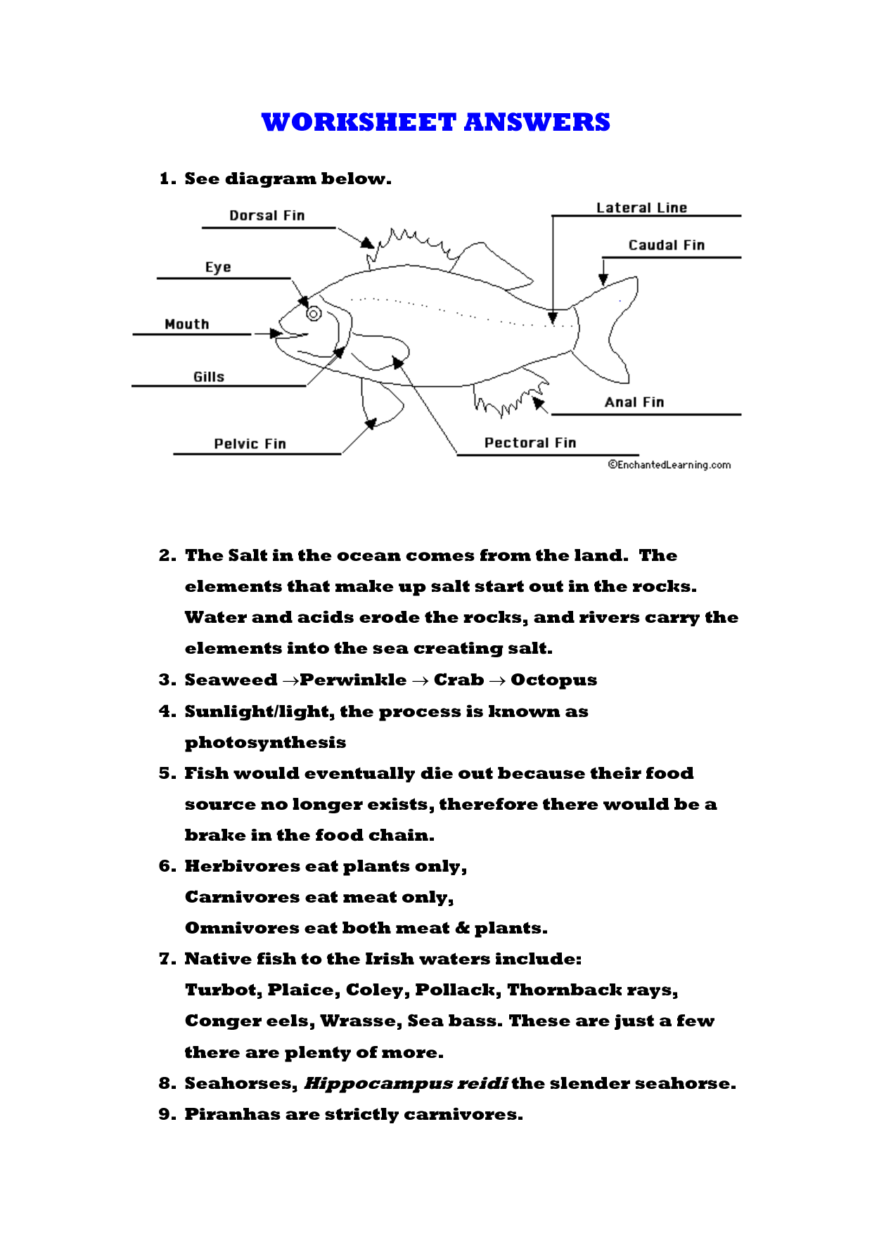 Phase Diagram Worksheet Answers