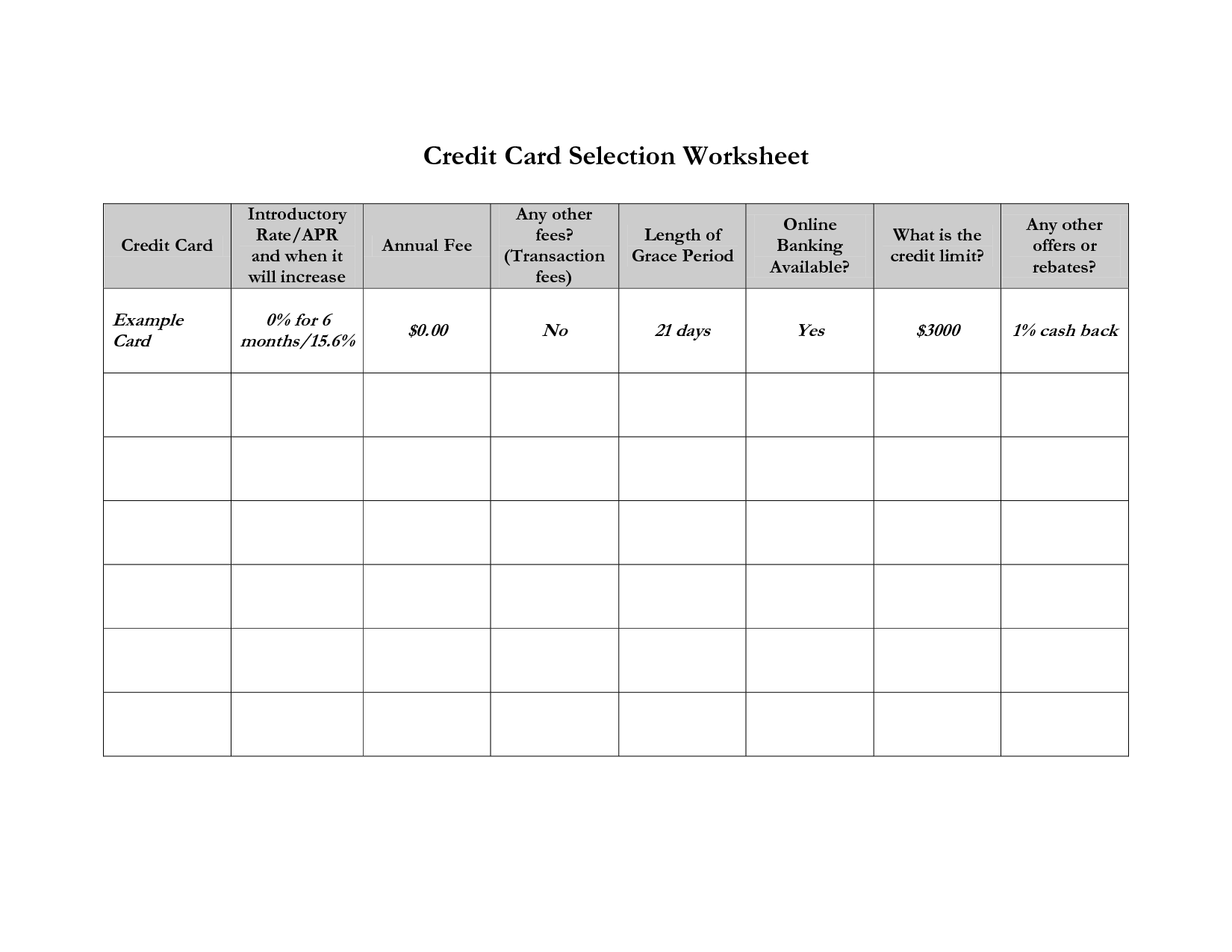 Credit Card Payment Spreadsheet Template