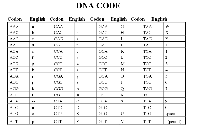 DNA Transcription and Translation Worksheet Answers