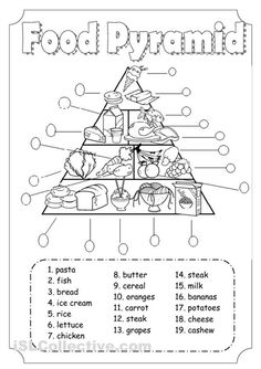 15 Best Images of 2nd Grade Nutrition Worksheets - School Science