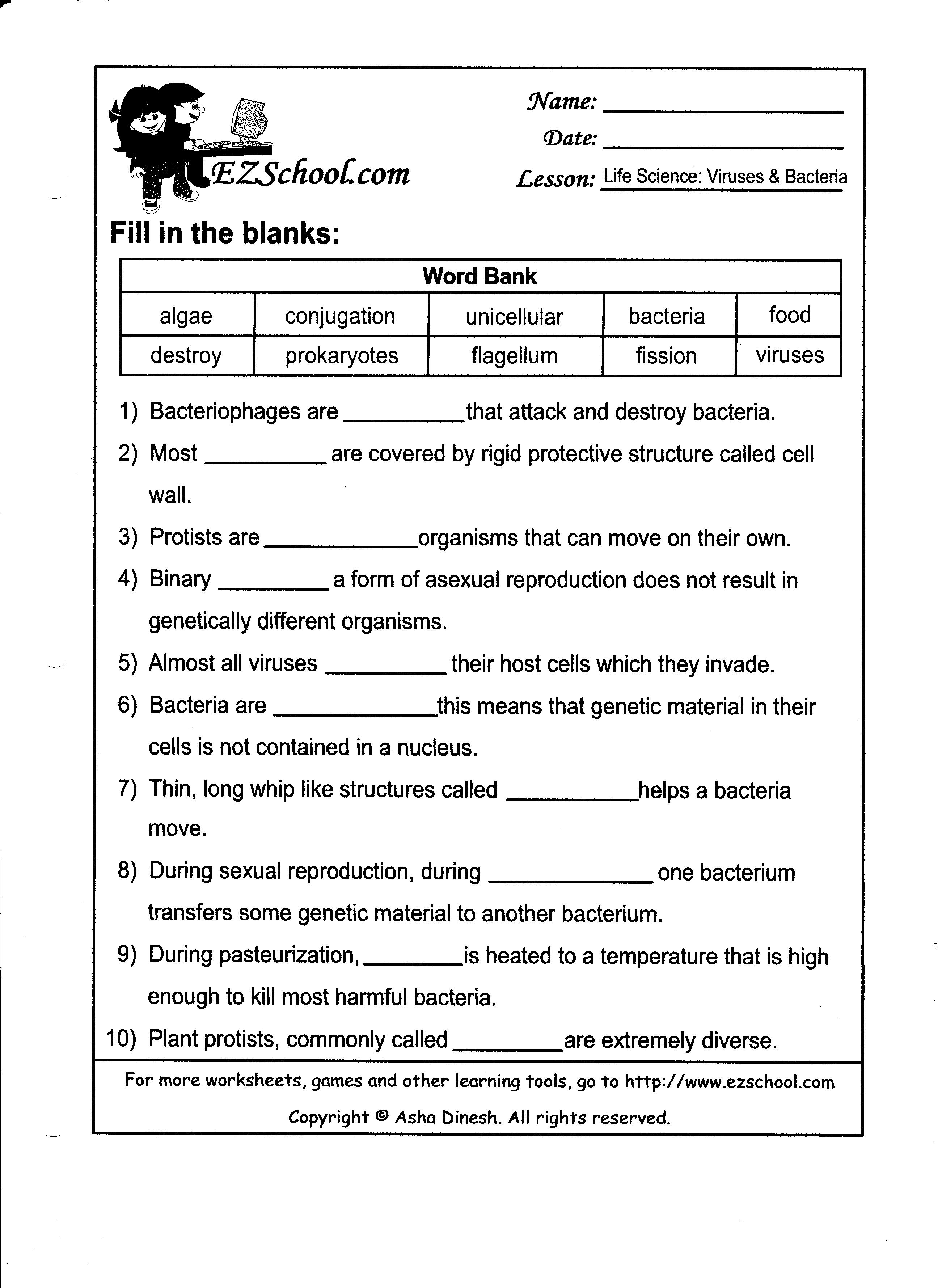 Parts of a Plant Cell Worksheet