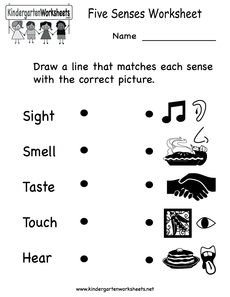 Printable Five Senses Worksheet Kindergarten