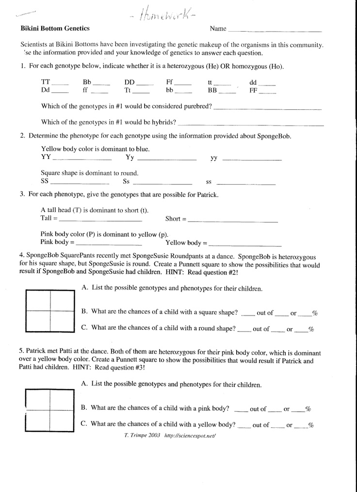 14 Best Images of DNA Worksheets For Middle School - DNA Structure