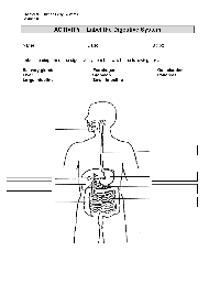 Label Digestive System Diagram