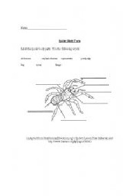 Spider Body Parts Worksheet