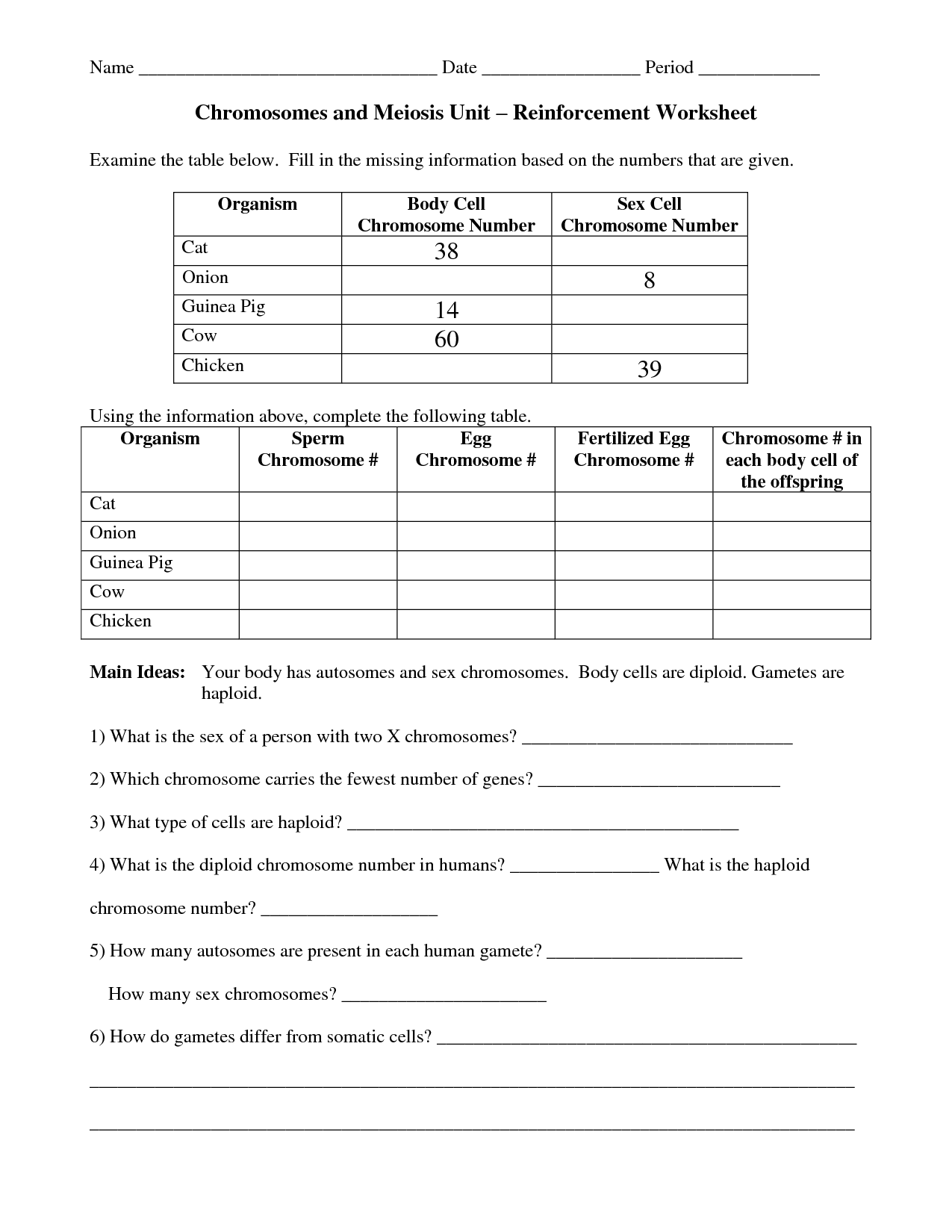 13-best-images-of-genetics-and-meiosis-worksheet-meiosis-and-mitosis-worksheet-answers-study