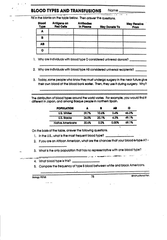 Circulatory System Worksheet Answers