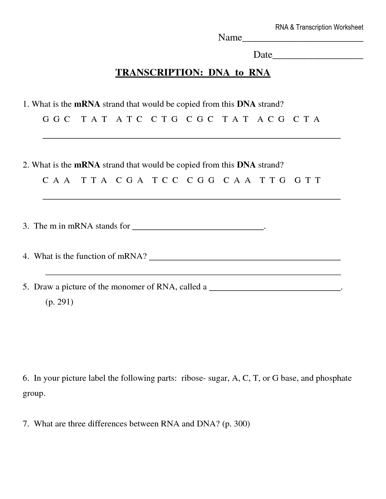 15 Best Images of DNA Transcription And Translation Worksheet Answers  DNA Transcription and 