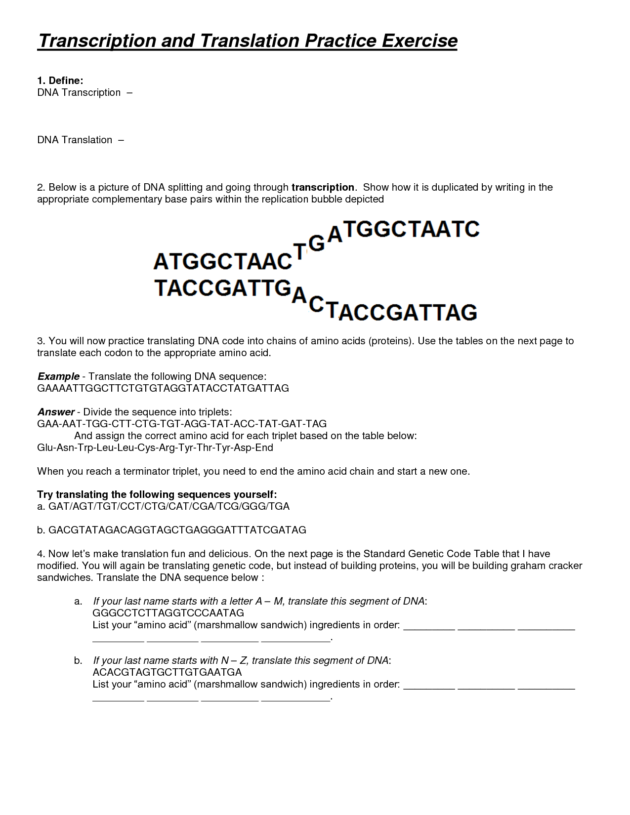 DNA Transcription and Translation Worksheet Answers
