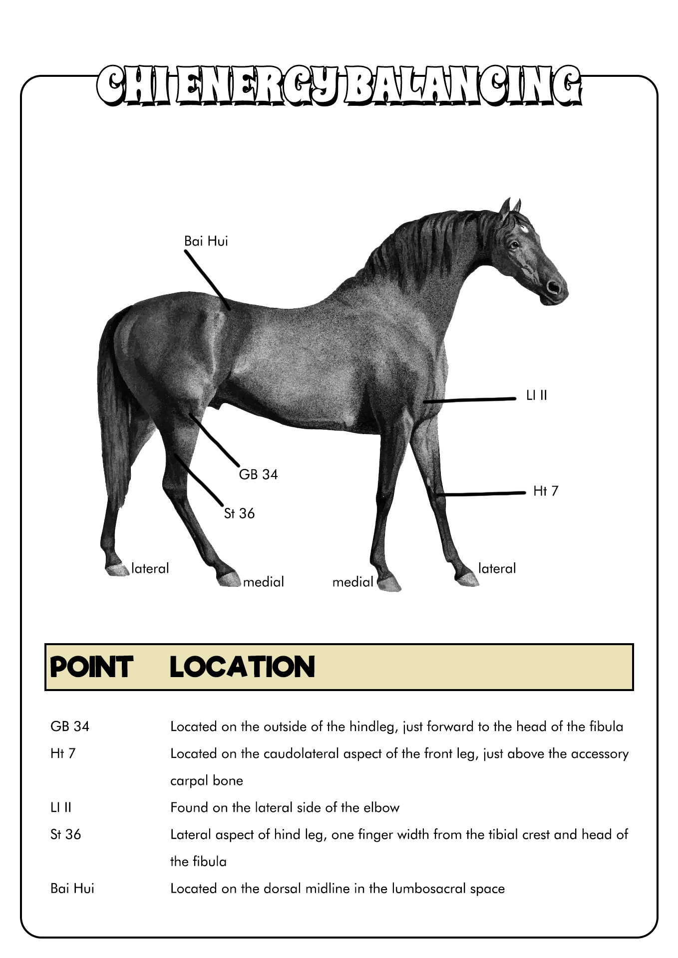 18 Best Images of Horse Study Worksheets - Horse Riding Posture