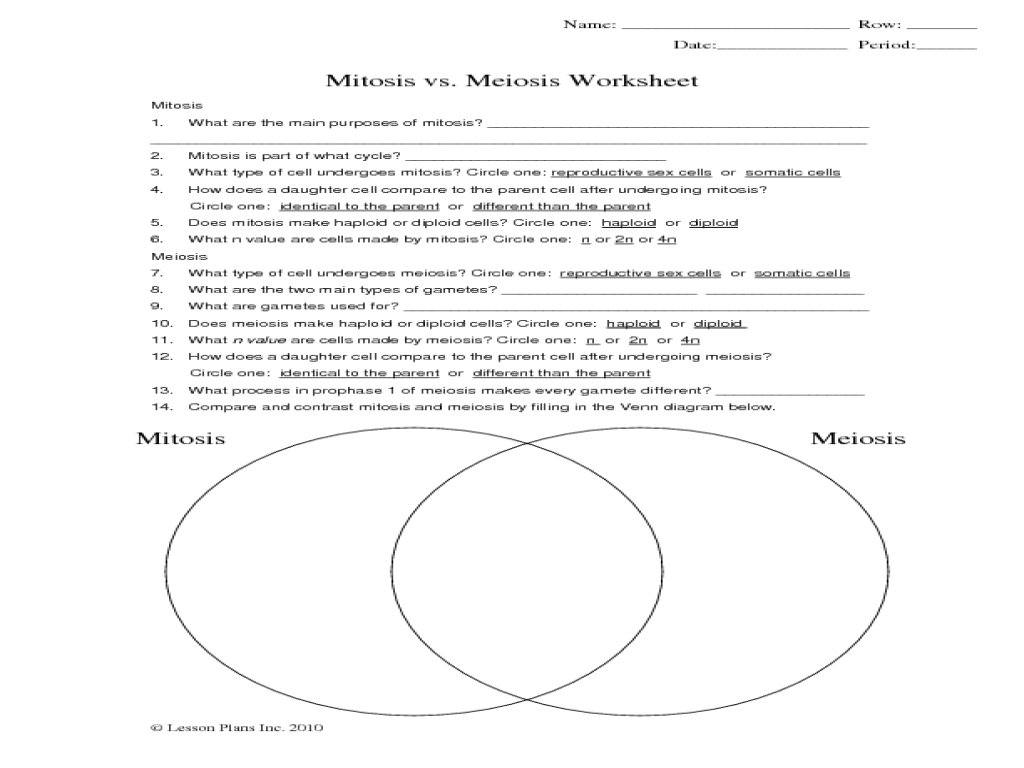 13-best-images-of-genetics-and-meiosis-worksheet-meiosis-and-mitosis-worksheet-answers-study