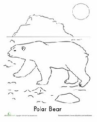Polar Bear Coloring Pages for Preschoolers