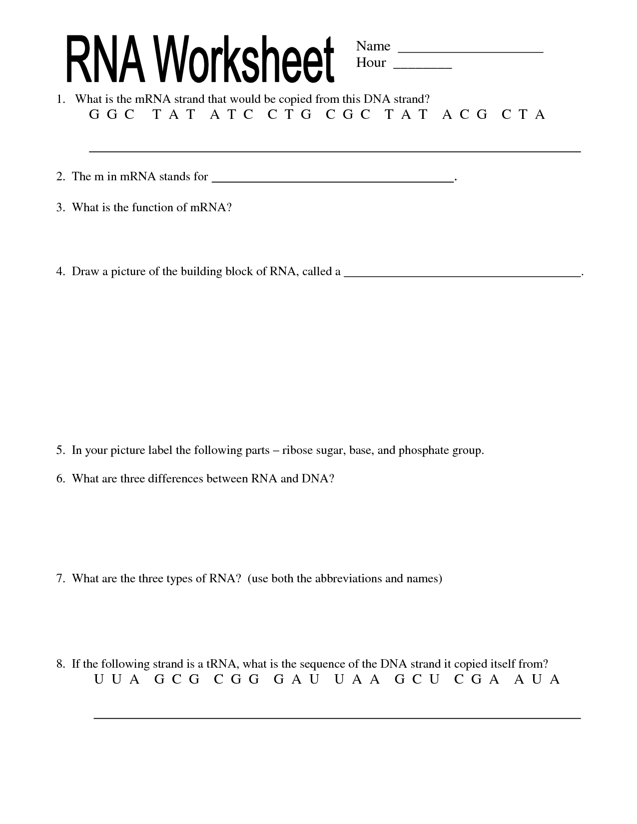 19-best-images-of-dna-transcription-worksheet-dna-transcription-and-translation-worksheet-dna