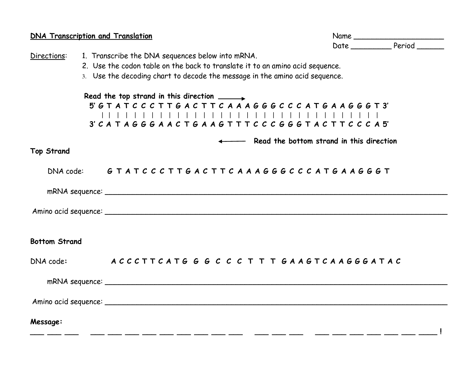 Transcription and Translation Worksheet Answers
