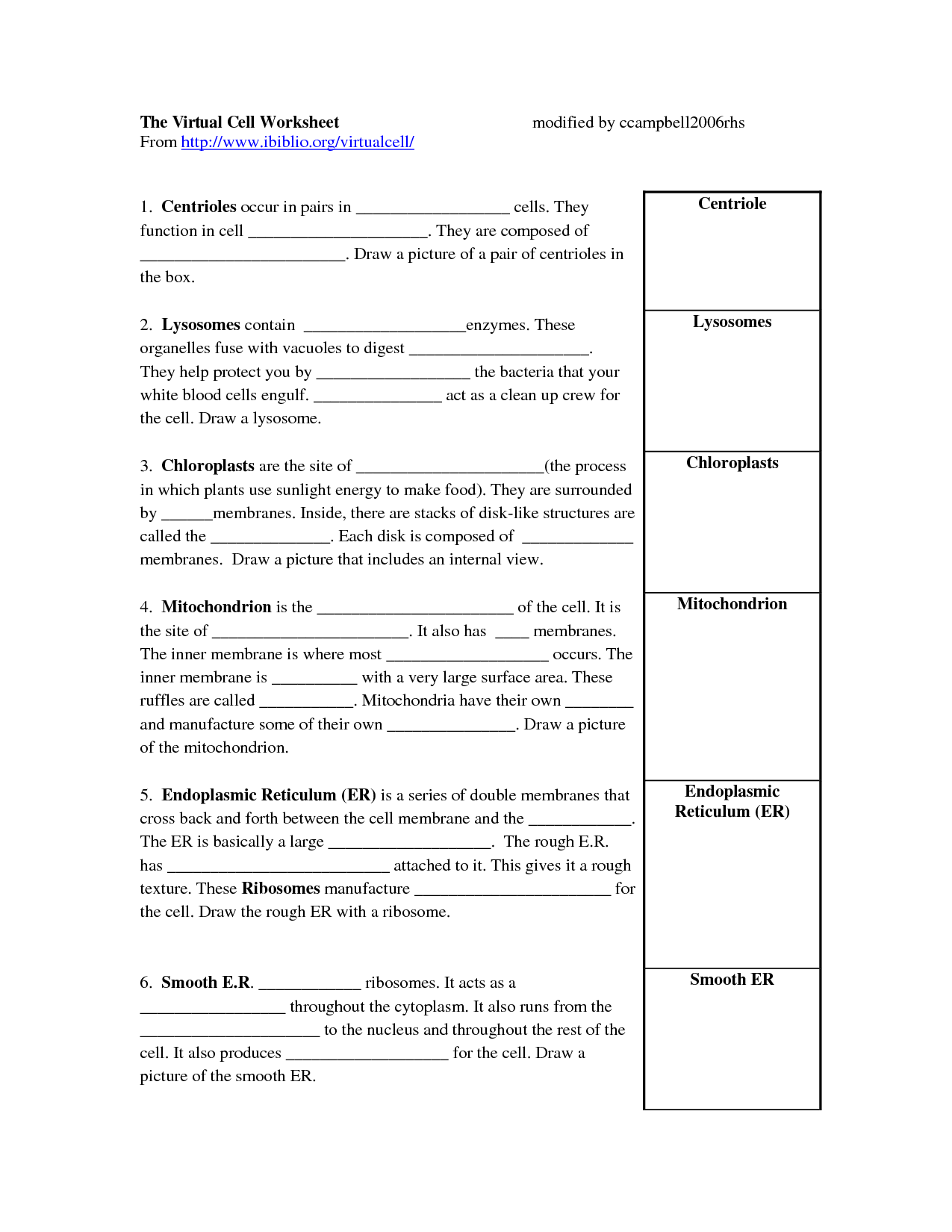 15-best-images-of-blood-cells-and-functions-worksheets-blood-cells-worksheet-virtual-cell