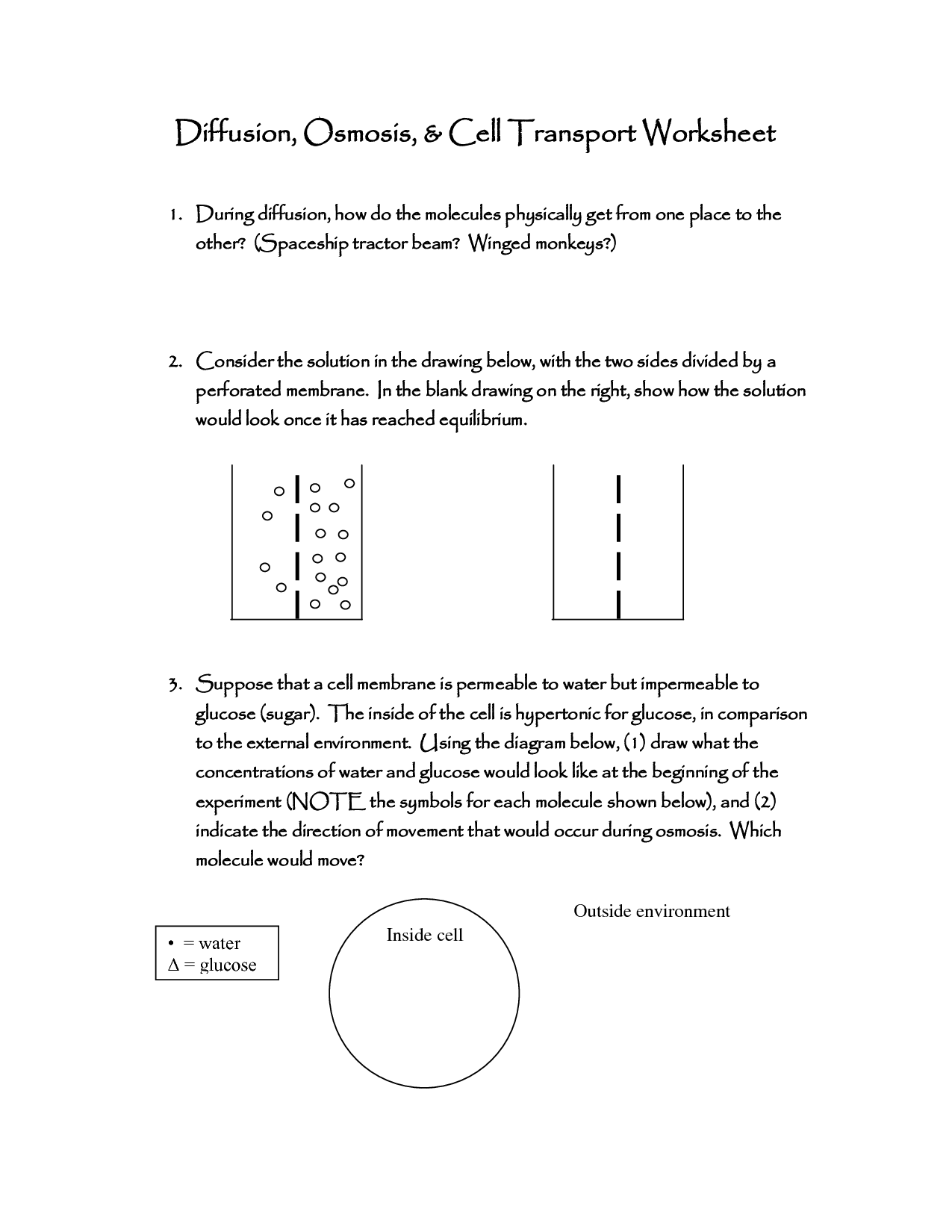 Diffusion And Osmosis Worksheet Answers