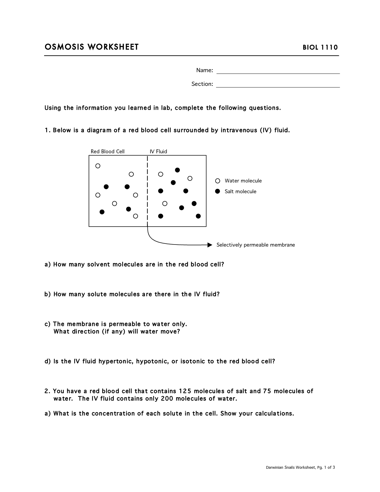 17 Best Images of Osmosis Worksheet Answers  Osmosis and Tonicity Worksheet Answer Key, Osmosis 