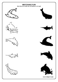 11 Best Images of Shadow Matching Worksheets - Shadow Worksheets for