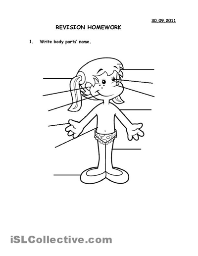 Body Part Worksheet for Grade 1