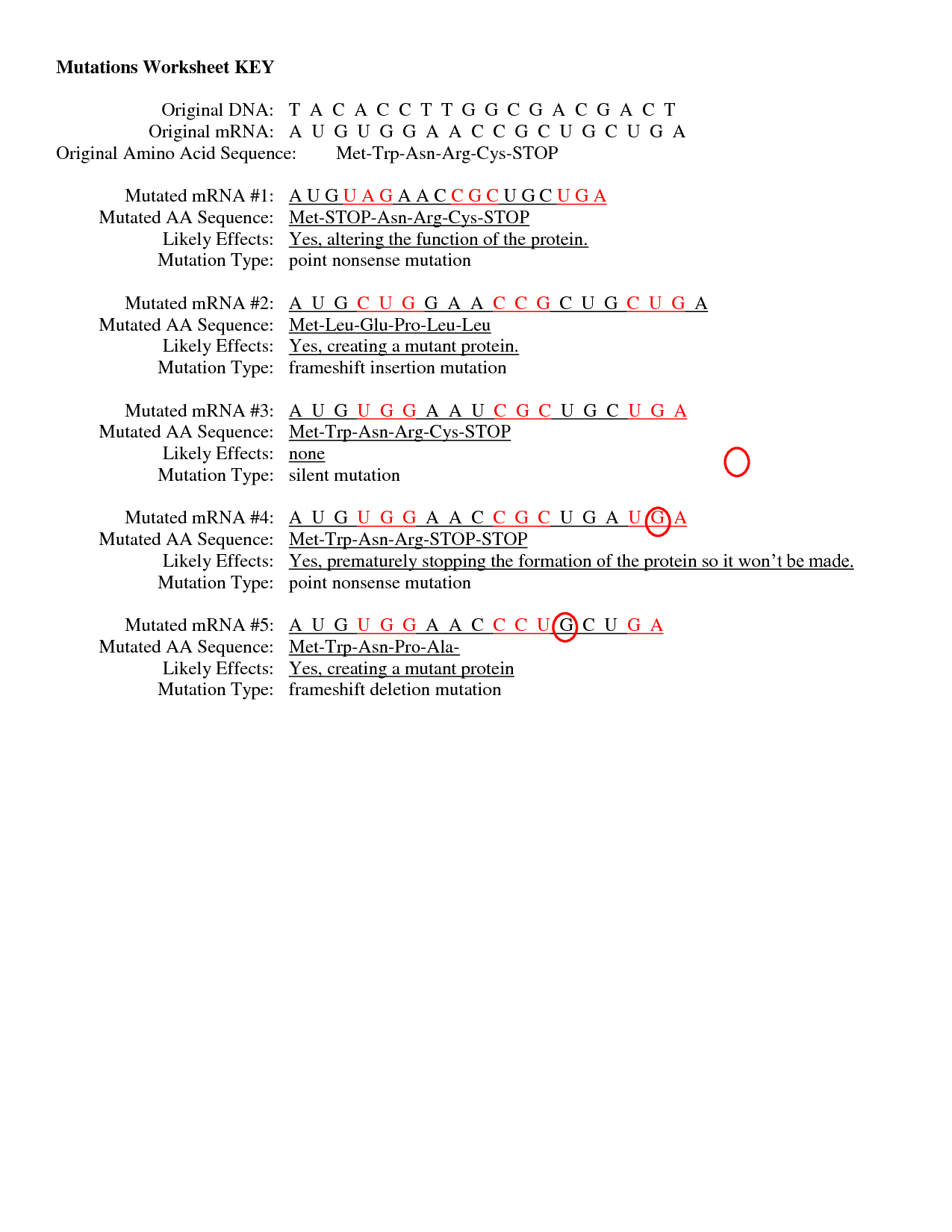 17 Best Images of Gene Mutations And Proteins Worksheet  Genetic Mutation Worksheet Answer Key 