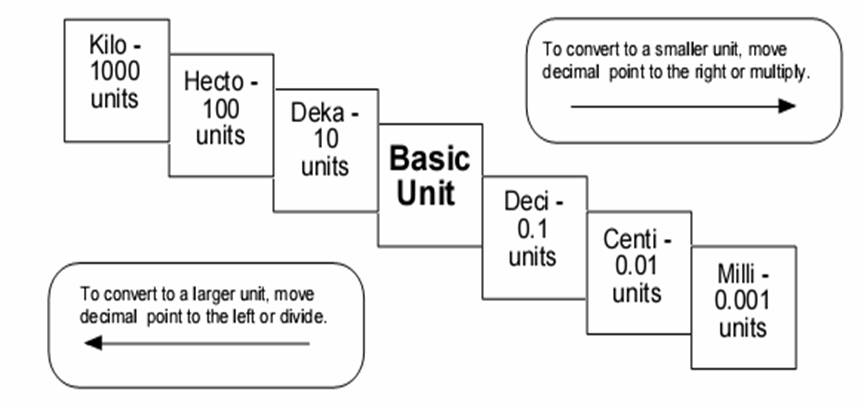 15 Best Images of King Henry Metric Conversion Worksheet - King Henry