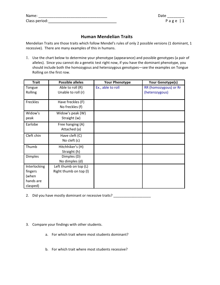 13-best-images-of-human-variations-worksheet-dominant-and-recessive