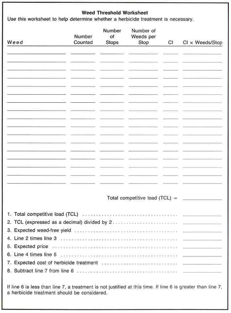  Table of Contents Worksheets