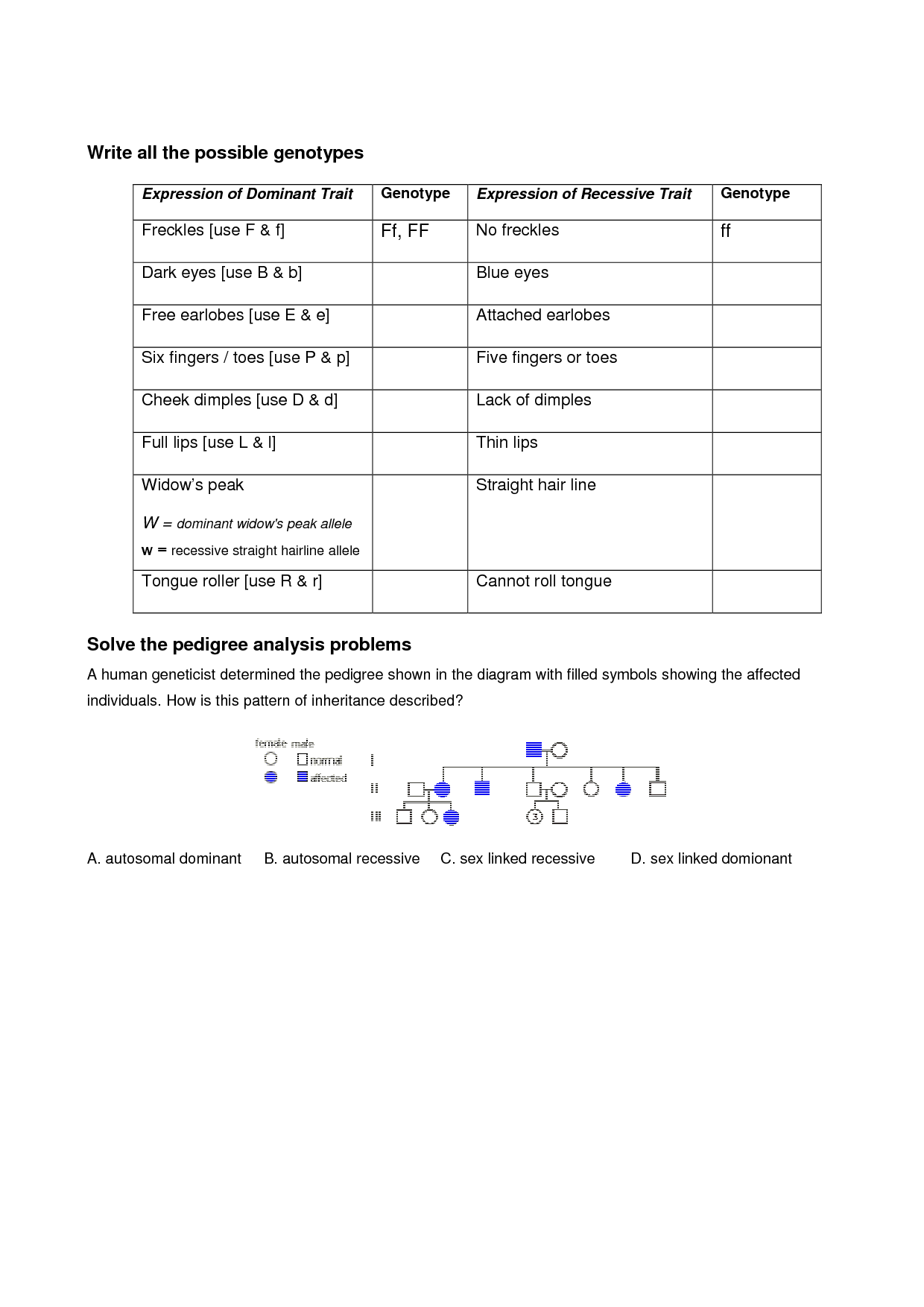 Dna Mutation Practice Worksheet Answers